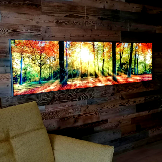 Leuchtbild im Wohnzimmer mit Waldmotiv im Herbst