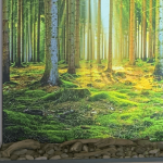 Bild mit Beleuchtung / Rückwand eines Sideboards mit Waldmotiv
