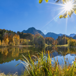 Oberstdorf Moorweiher im Herbst / Allgäu - Lichtbild für Lichtschacht