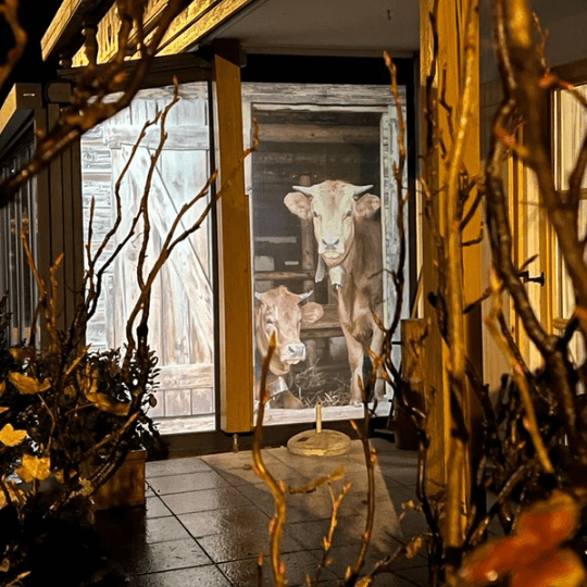 Sonnenschutzfolie für einen Wintergarten mit Fotomotiv "Kuhstall" - von außen bei Nacht